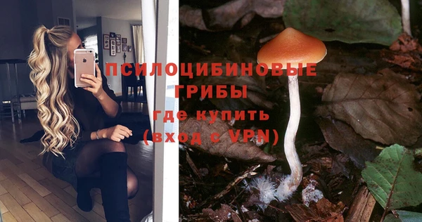 не бодяженный Дмитров