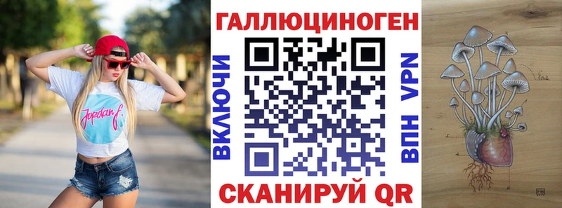 Псилоцибиновые грибы Psilocybe  Салаир 